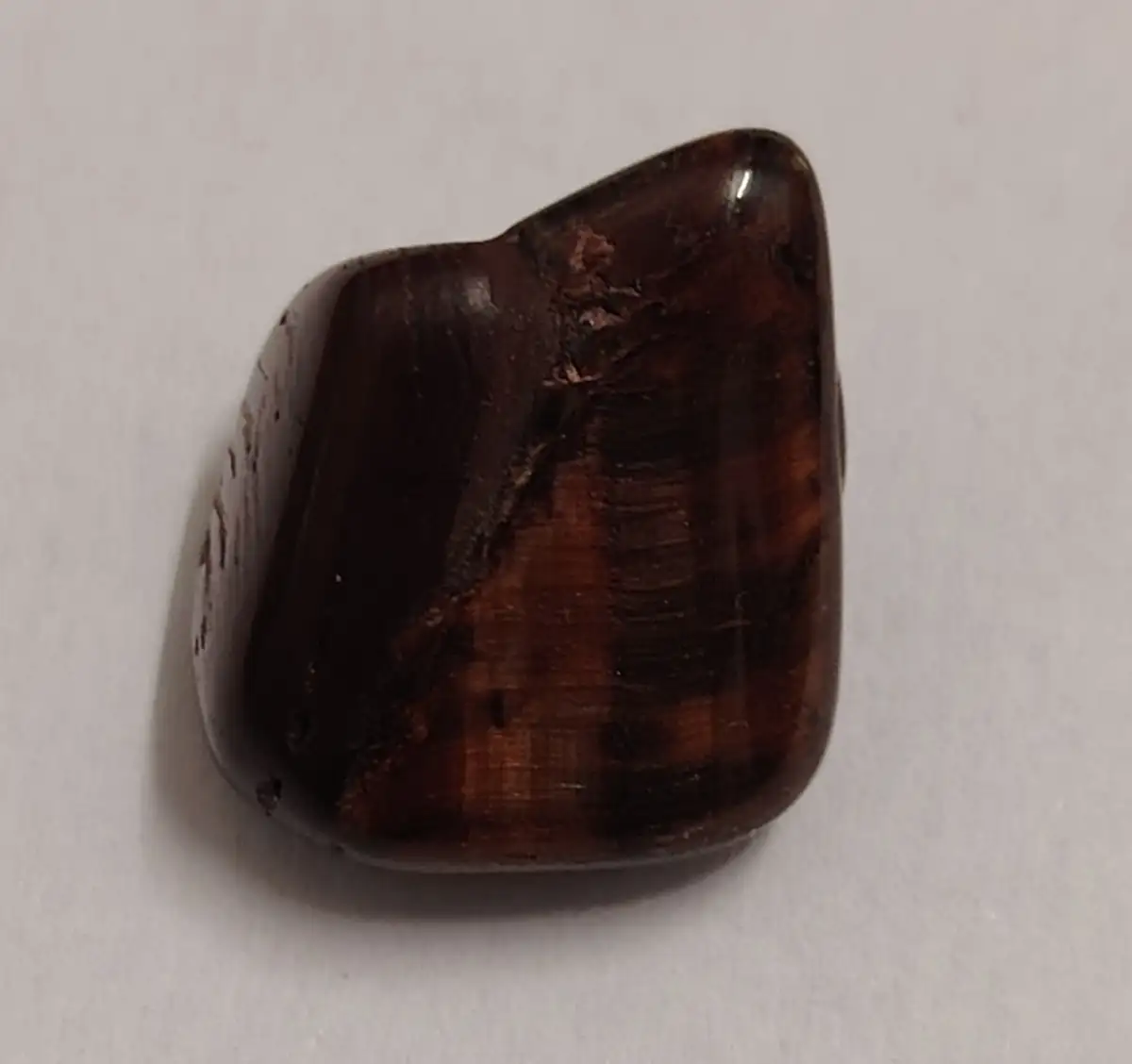 Œil de taureau roulée