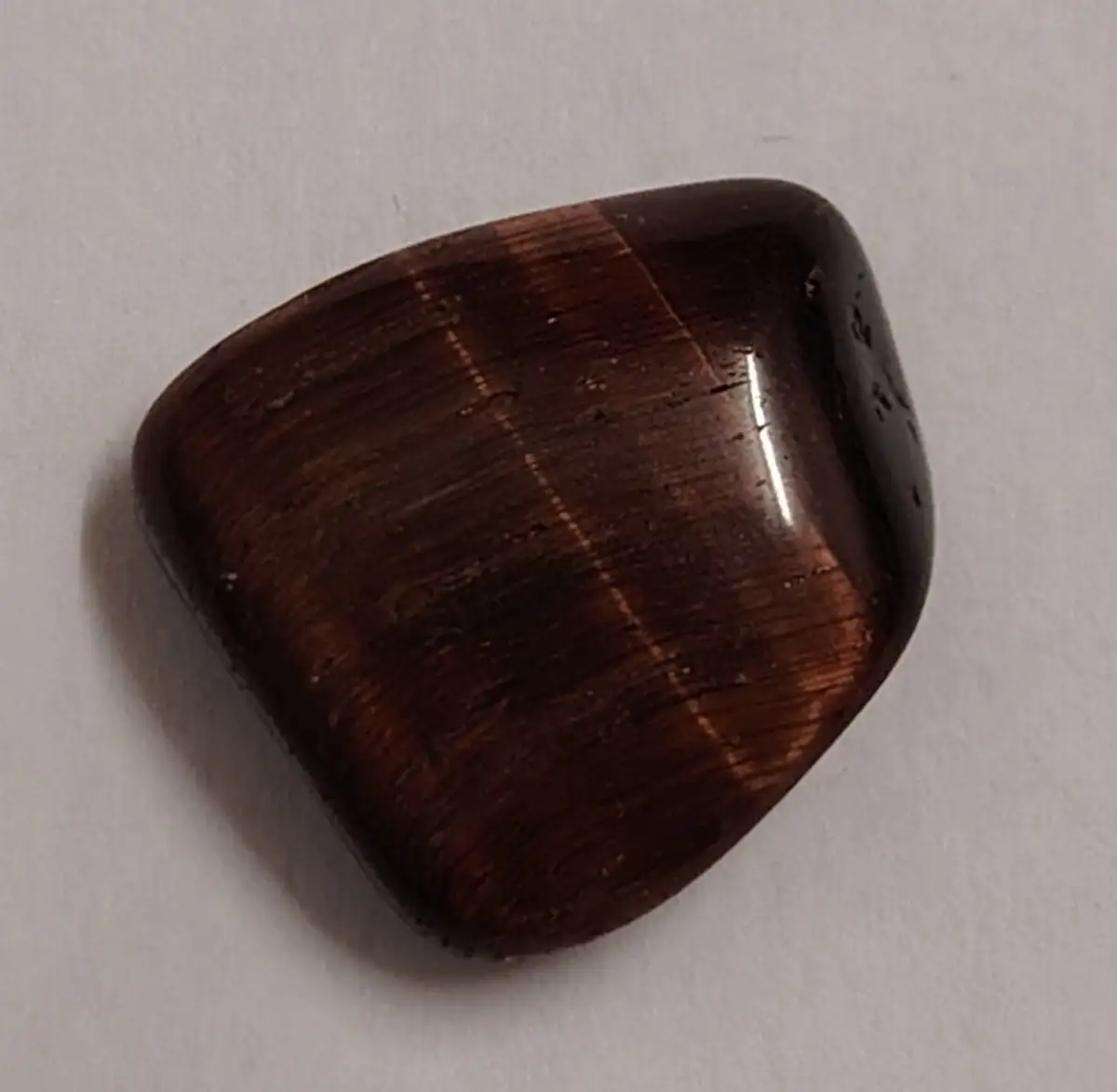 Œil de taureau roulée