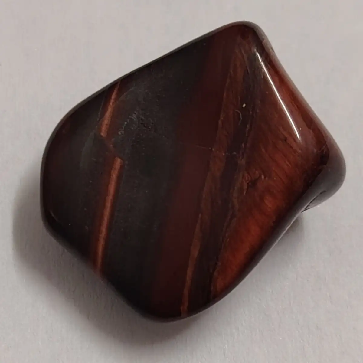 Œil de taureau roulée