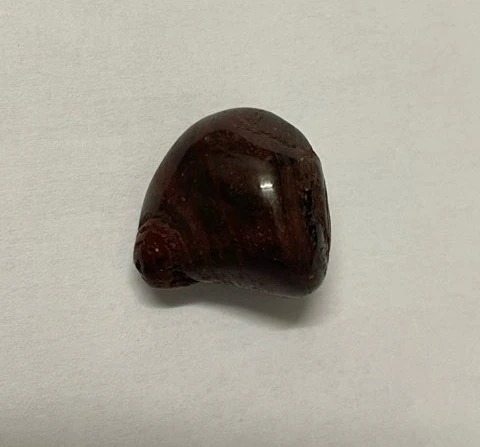 Œil de taureau roulée