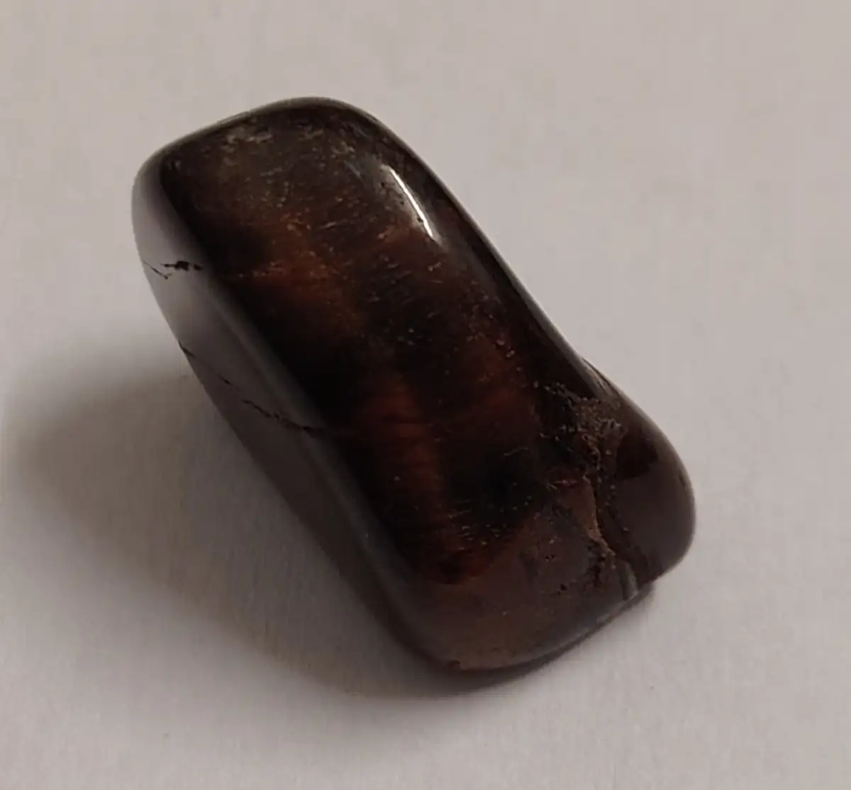 Œil de taureau roulée