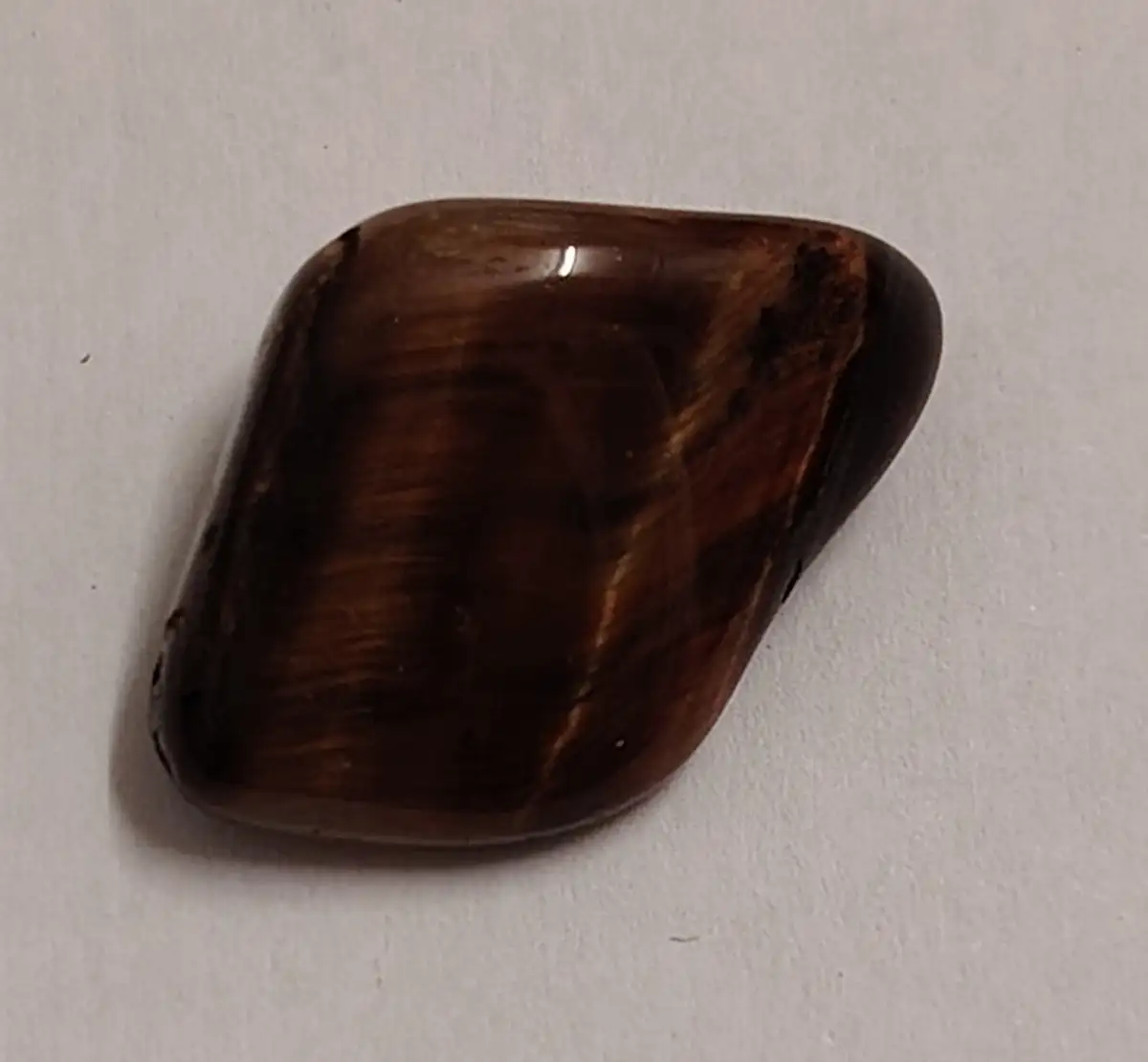 Œil de taureau roulée