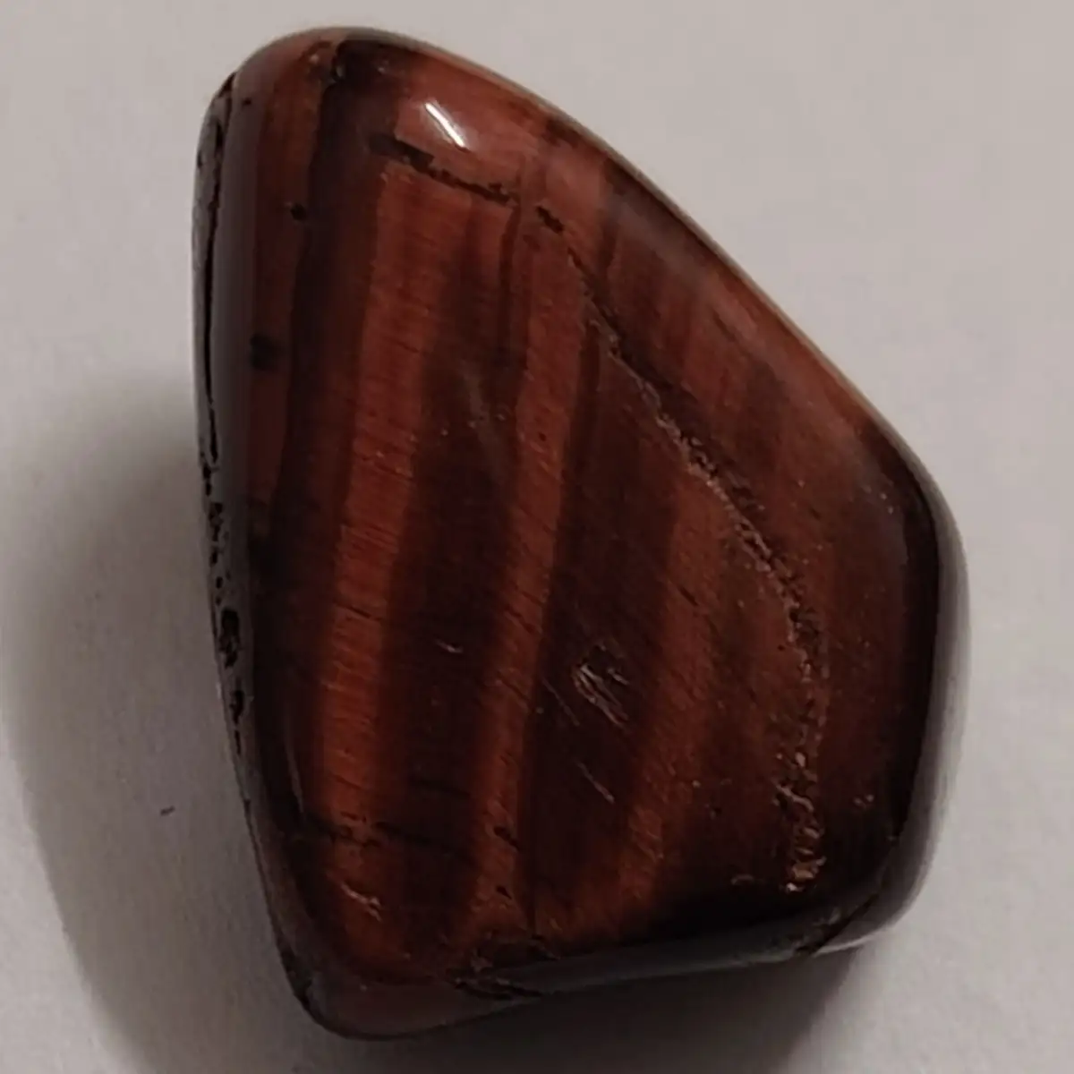 Œil de taureau roulée