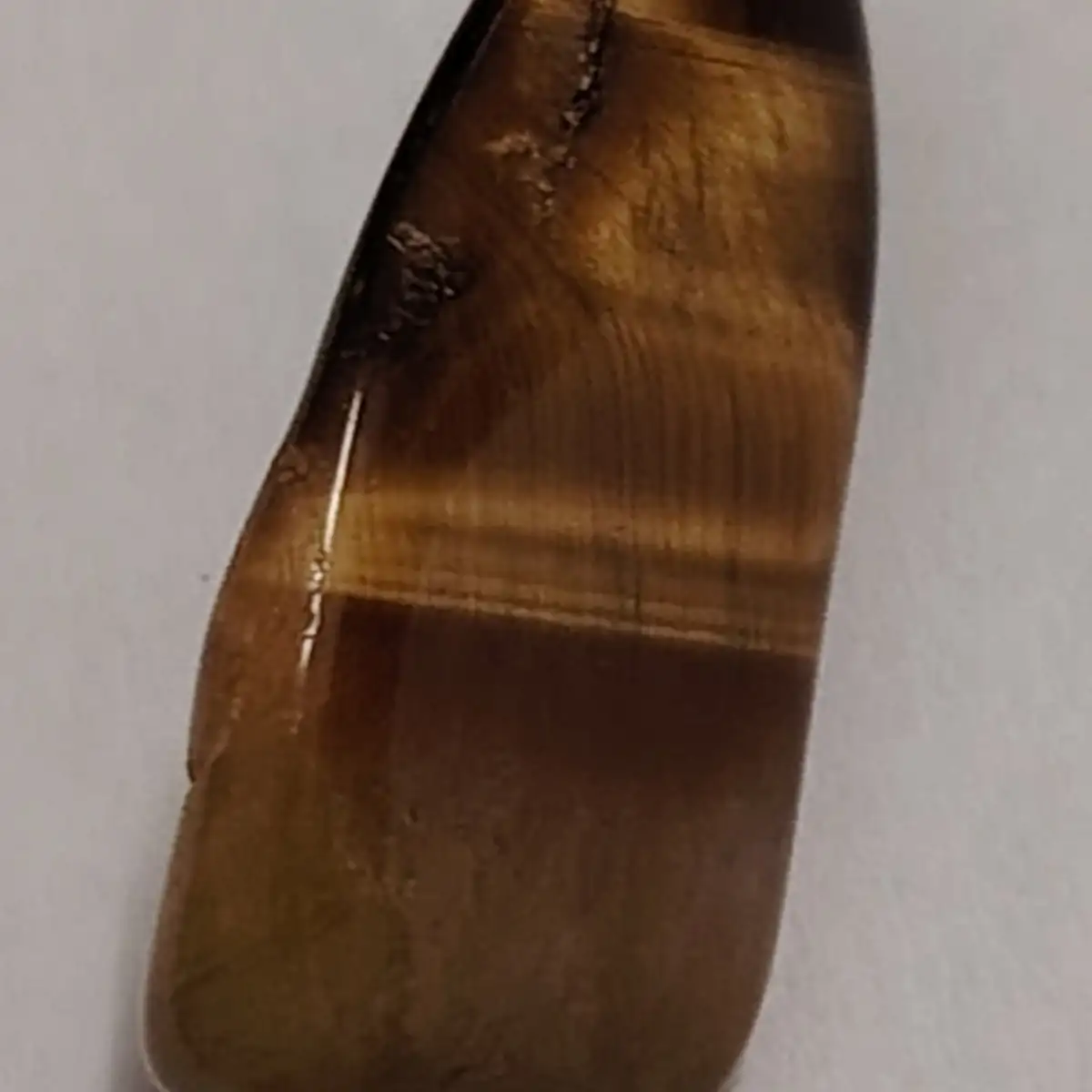 Œil de tigre roulée