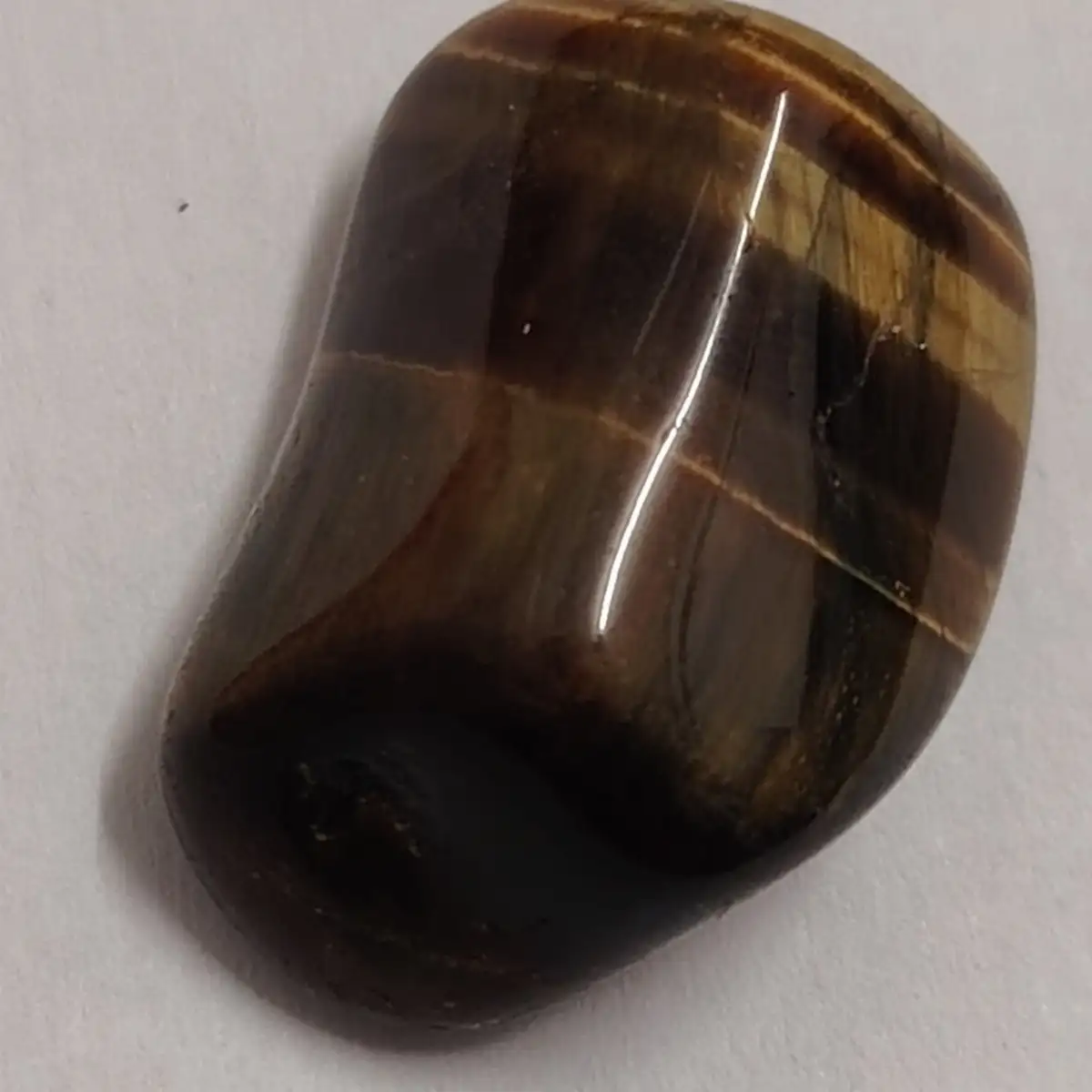 Œil de tigre roulée