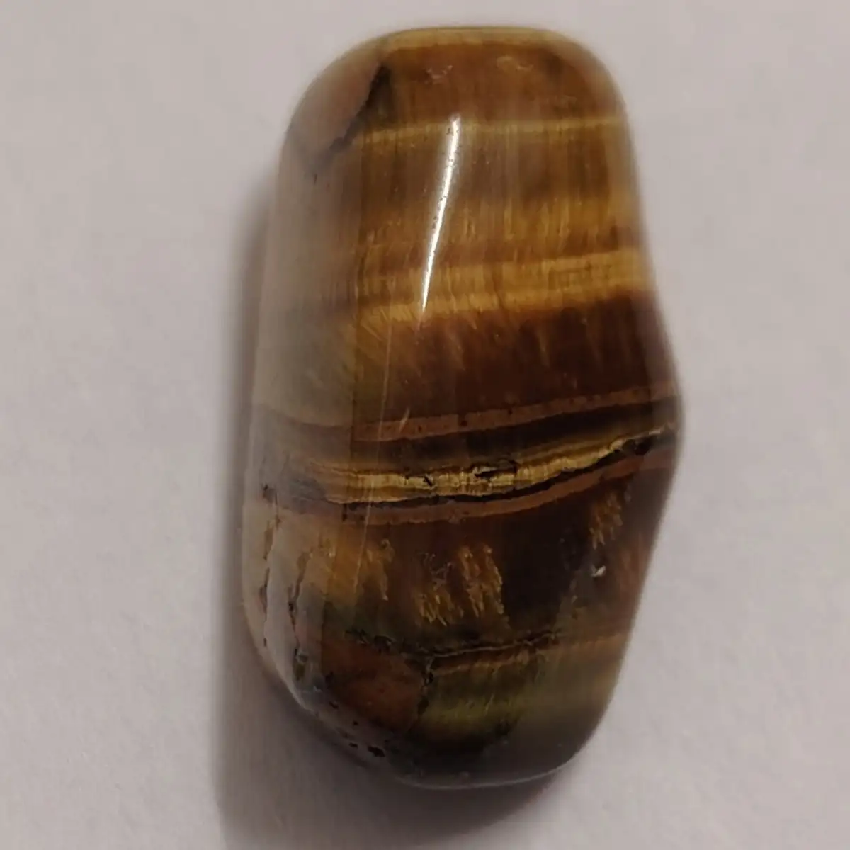 Œil de tigre roulée