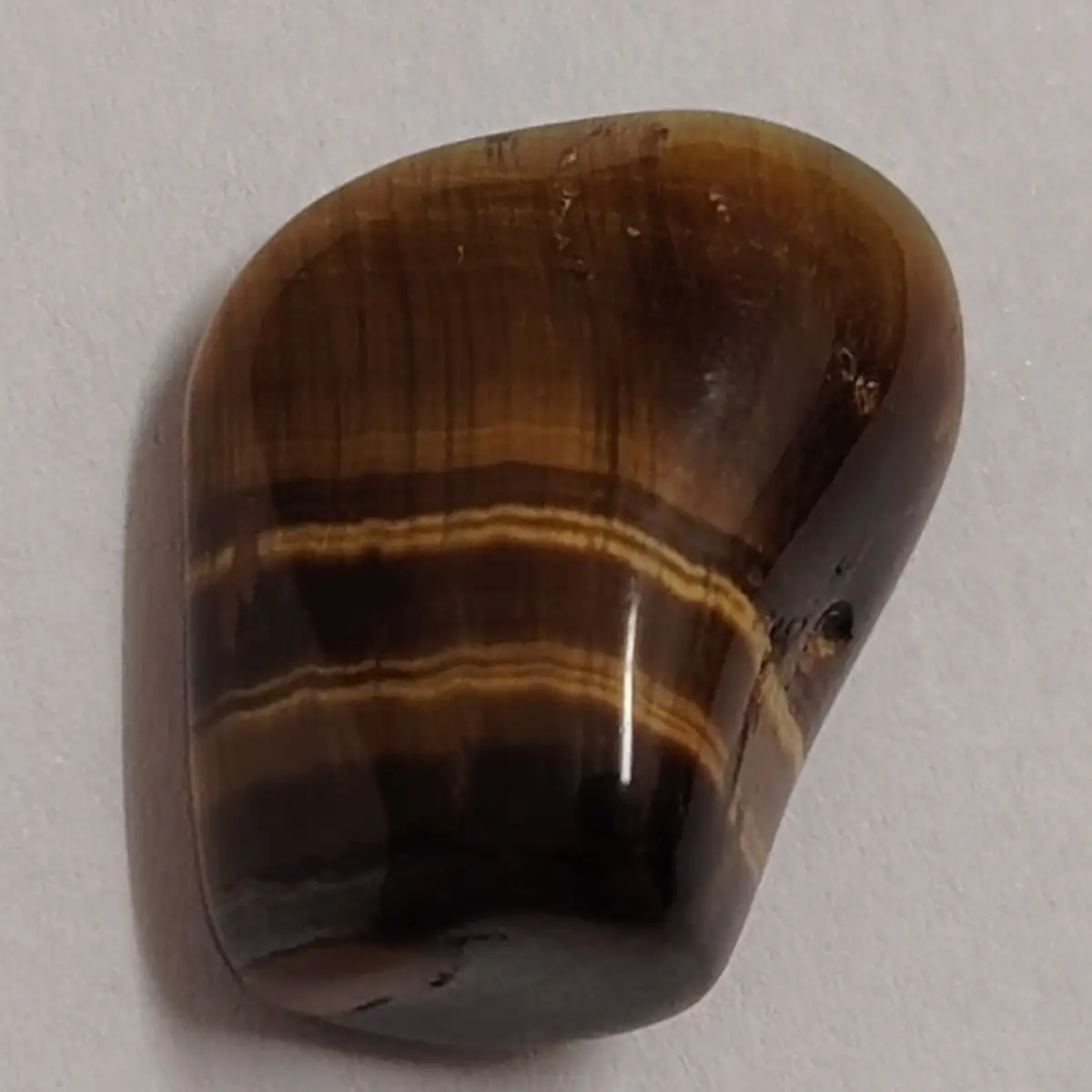 Œil de tigre roulée