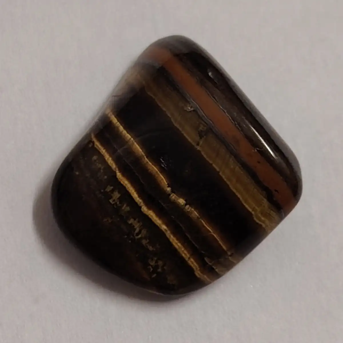 Œil de tigre roulée